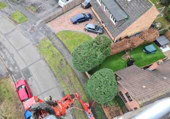 imageedit_6_7827321691